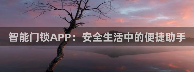 jdb什么游戏最稳定：智能门锁APP：安全生活中的便捷助手