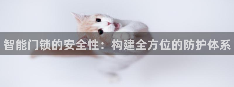 jdb变脸爆分技巧论坛：智能门锁的安全性：构建全方位的防护体