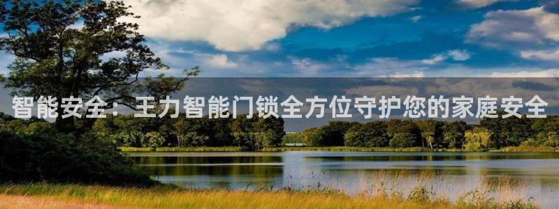 jdb什么游戏最稳定：智能安全：王力智能门锁全方位守护您的家