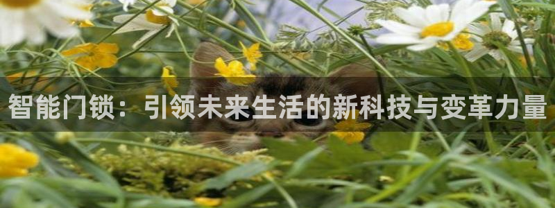 jdb电子游戏源码：智能门锁：引领未来生活的新科技与变革力量
