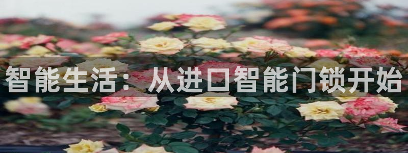 下载jdbc：智能生活：从进口智能门锁开始