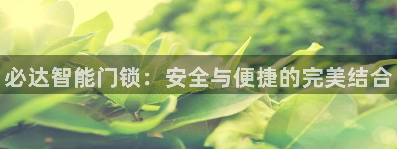 jdb怎么玩出高分：必达智能门锁：安全与便捷的完美结合