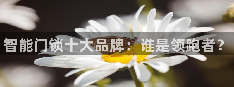 jdb电子在线试玩平台：智能门锁十大品牌：谁是领跑者？