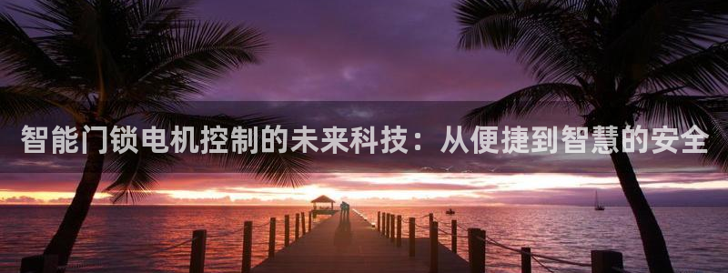 jdbc登录注册：智能门锁电机控制的未来科技：从便捷到智慧的