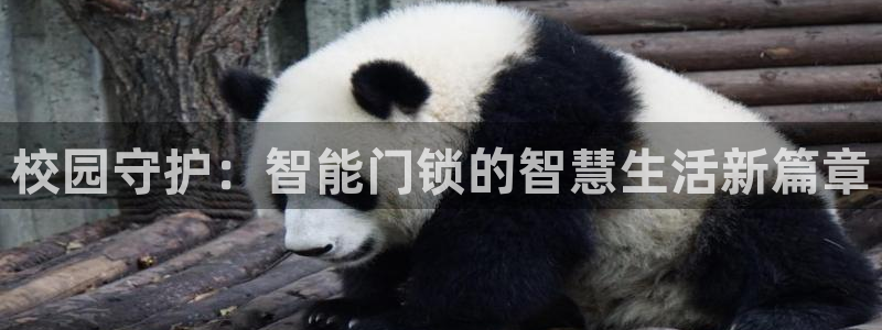 jdb电子游戏麻雀无双大奖视频：校园守护：智能门锁的智慧生活