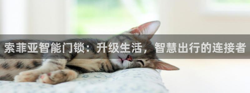 jdb富豪哥爆分：索菲亚智能门锁：升级生活，智慧出行的连接者