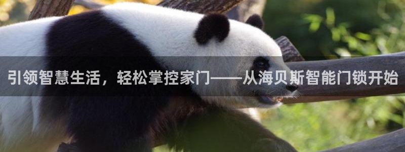 jdb电子什么时间爆率高：引领智慧生活，轻松掌控家门——从海