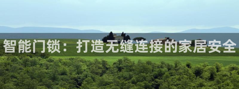 jdbc实现登录注册：智能门锁：打造无缝连接的家居安全