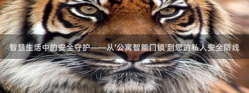 jdb电子游戏app：智慧生活中的安全守护——从\'公寓智能