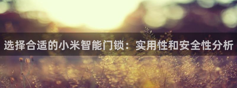 jdb电子富豪哥怎么玩：选择合适的小米智能门锁：实用性和安全
