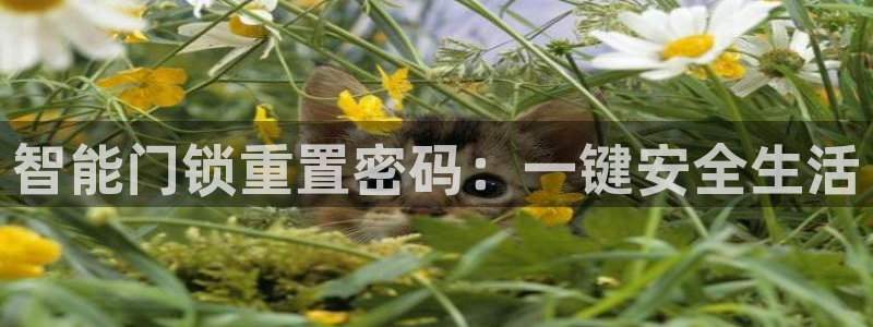 jdb电子工具：智能门锁重置密码：一键安全生活