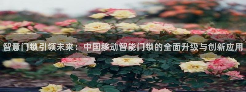 jdb电子爆奖视频花开富贵：智慧门锁引领未来：中国移动智能门