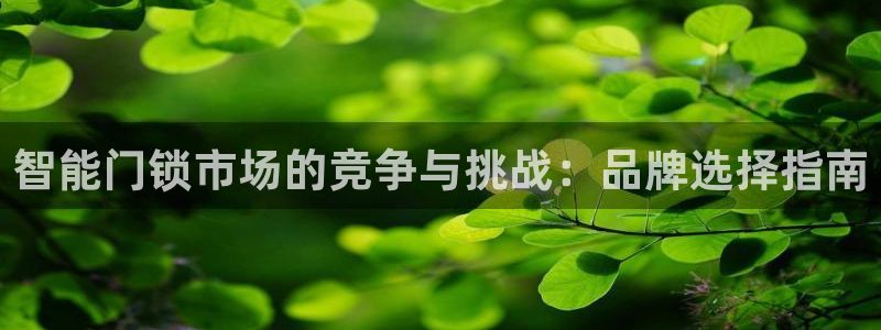 下载jdbc mysql数据库驱动：智能门锁市场的竞争与挑战