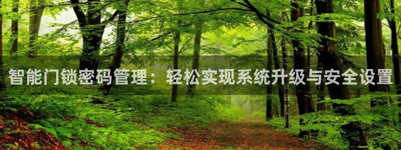 电子游艺jdb变脸：智能门锁密码管理：轻松实现系统升级与安全