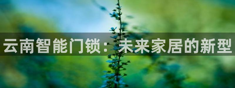jdb电子游戏麻雀无双大奖视频：云南智能门锁：未来家居的新型