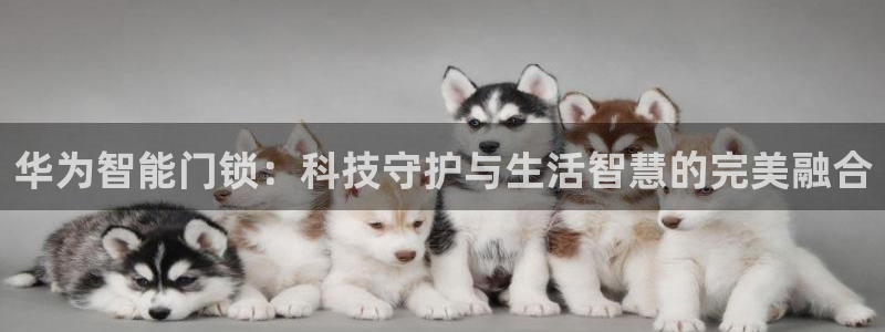 JDB电子龙舞：华为智能门锁：科技守护与生活智慧的完美融合