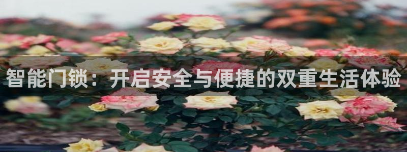 jdb电子王牌特工大奖视频：智能门锁：开启安全与便捷的双重生