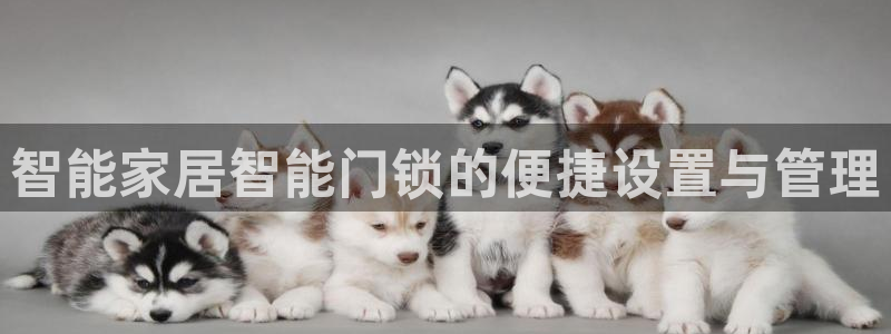 jdb电子官方入口：智能家居智能门锁的便捷设置与管理