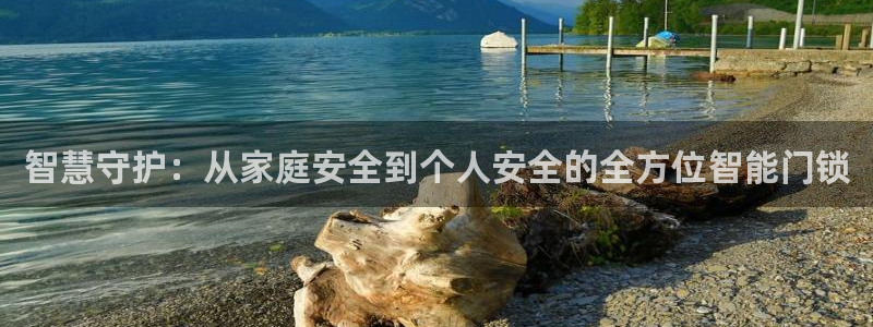 jdb的jp大奖怎么出：智慧守护：从家庭安全到个人安全的全方