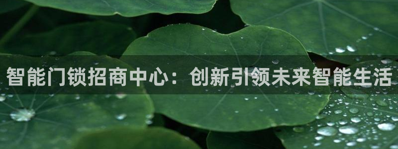 jdb电子富豪哥：智能门锁招商中心：创新引领未来智能生活