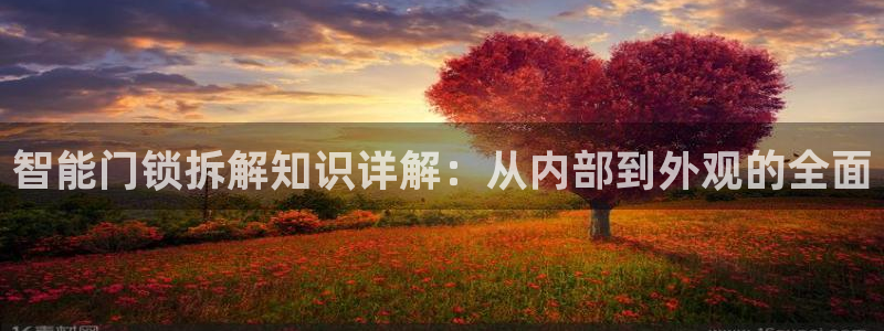 jdb电子网址：智能门锁拆解知识详解：从内部到外观的全面