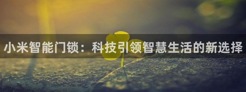 jdb龙舞游戏视频：小米智能门锁：科技引领智慧生活的新选择
