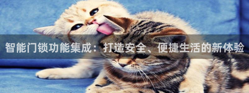 jdb财神捕鱼哪个平台爆率高：智能门锁功能集成：打造安全、便