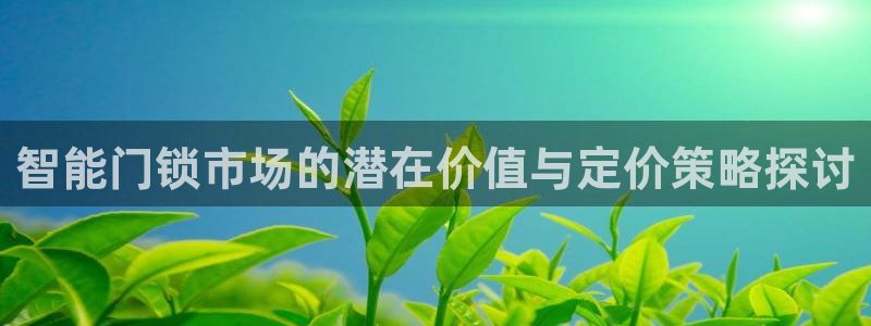 jdb电子官方app：智能门锁市场的潜在价值与定价策略探讨