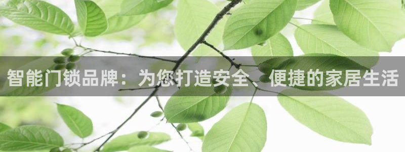 jdb巨奖：智能门锁品牌：为您打造安全、便捷的家居生活