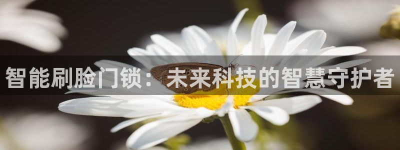 JDB电子能有多假：智能刷脸门锁：未来科技的智慧守护者