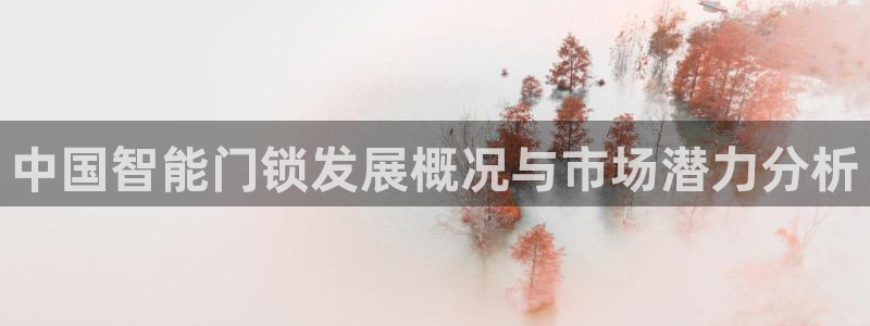 jdb是什么平台：中国智能门锁发展概况与市场潜力分析