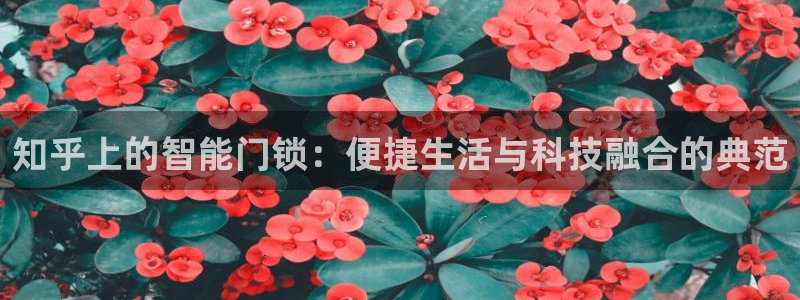 jdb电子游戏雷神之锤：知乎上的智能门锁：便捷生活与科技融合