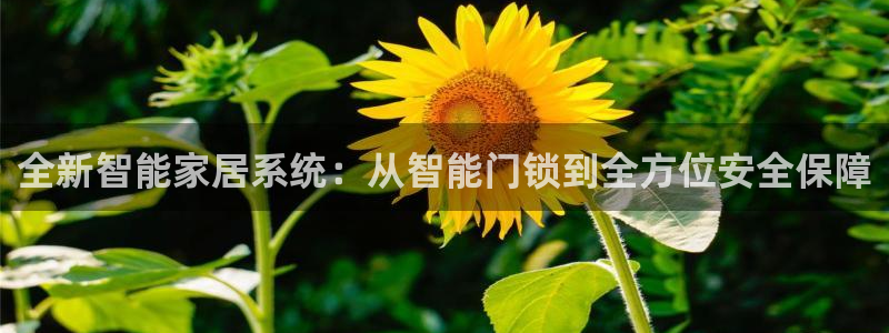 jdb电子夺宝官网：全新智能家居系统：从智能门锁到全方位安全