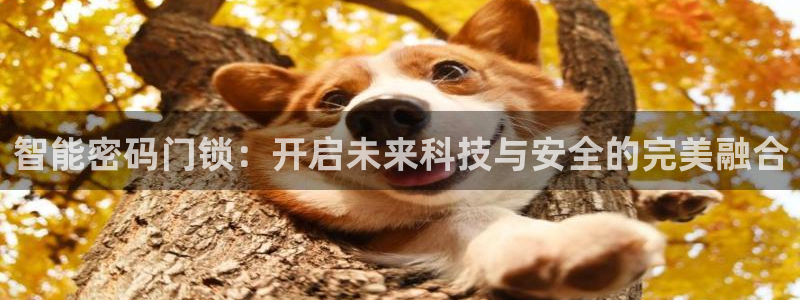 jdb电子忍者x爆奖：智能密码门锁：开启未来科技与安全的完美