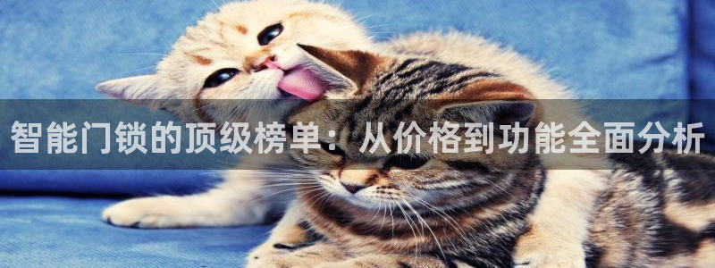 jdb金鸡报喜技巧：智能门锁的顶级榜单：从价格到功能全面分析