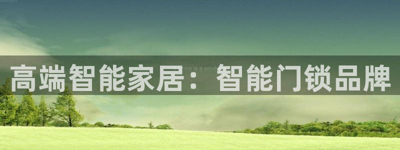 jdb电子飞鸟派对豪华版：高端智能家居：智能门锁品牌