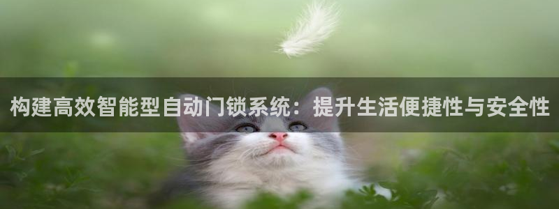 jdb电子富豪哥：构建高效智能型自动门锁系统：提升生活便捷性