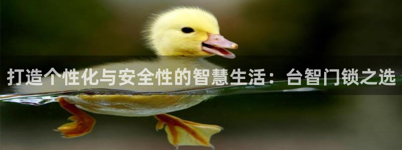 jdb电子游戏有人赢吗：打造个性化与安全性的智慧生活：台智门
