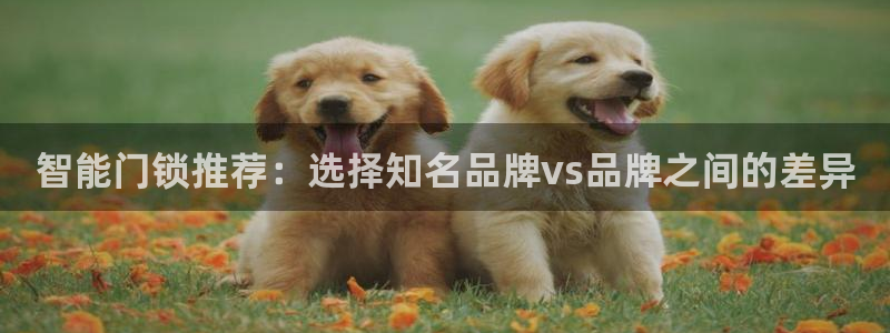 jdb雷神之锤技巧：智能门锁推荐：选择知名品牌vs品牌之间的