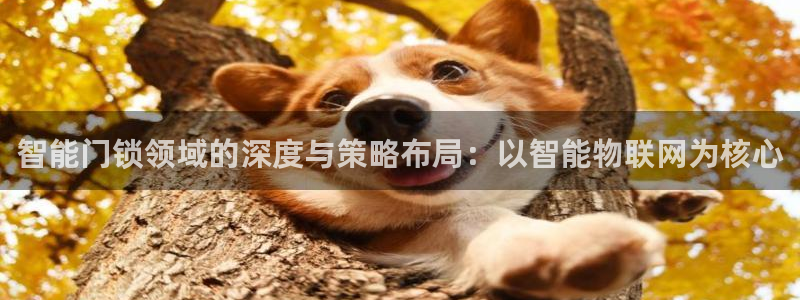 jdb电子官网 ly79,cn：智能门锁领域的深度与策略布局