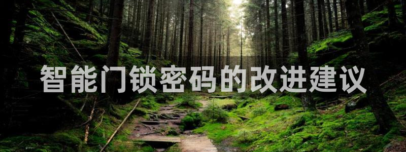 jdb电子游戏平台能控制吗：智能门锁密码的改进建议