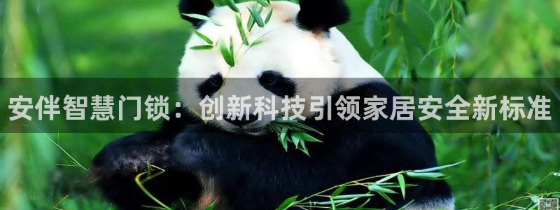 jdb电子怎么样：安伴智慧门锁：创新科技引领家居安全新标准