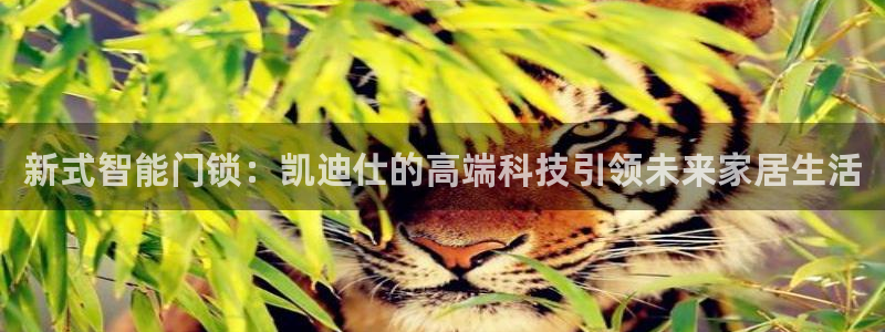如何下载jdbc：新式智能门锁：凯迪仕的高端科技引领未来家居