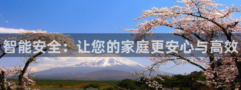 jdb电子平台网址大全：智能安全：让您的家庭更安心与高效