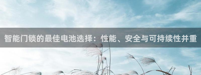 jdb电子爆奖前兆：智能门锁的最佳电池选择：性能、安全与可持