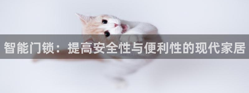 jdb平台官网：智能门锁：提高安全性与便利性的现代家居