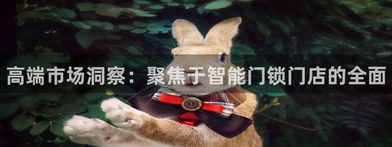 jdb飞鸟派对大奖视频：高端市场洞察：聚焦于智能门锁门店的全