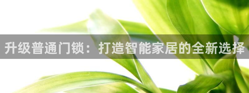 jdb电子什么游戏好玩：升级普通门锁：打造智能家居的全新选择