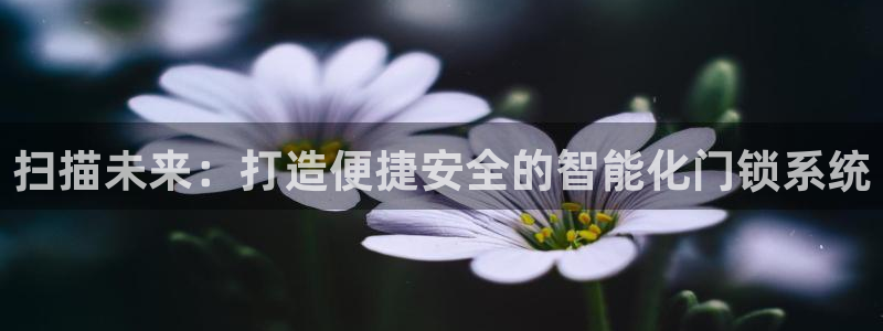 JDB电子王牌：扫描未来：打造便捷安全的智能化门锁系统