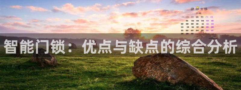 Jdb电子模拟器：智能门锁：优点与缺点的综合分析